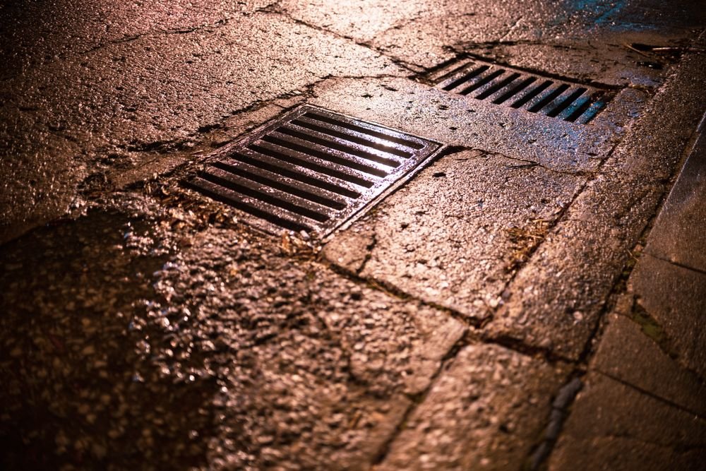 Drain grates in a paved surface